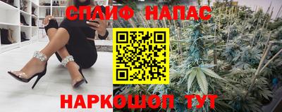 сатива Моздок