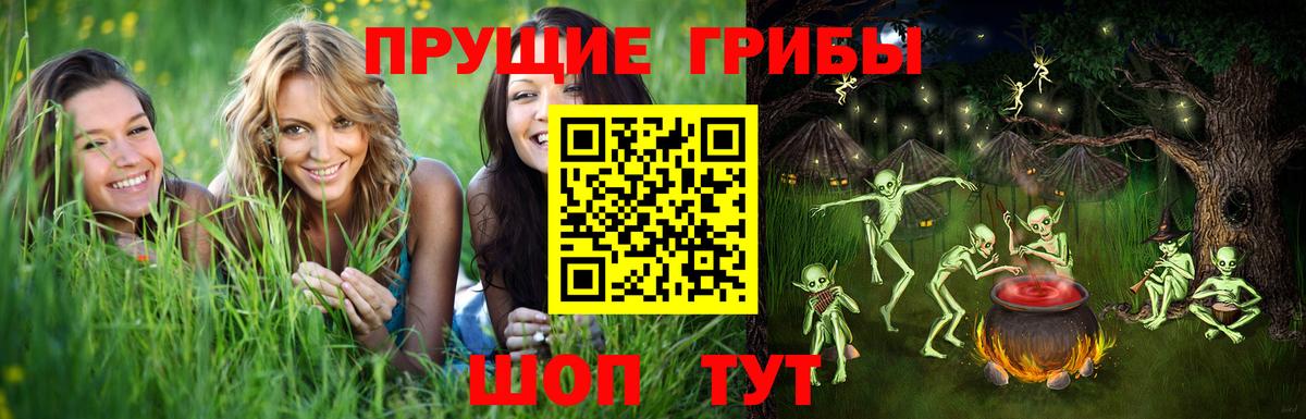 Галлюциногенные грибы Magic Shrooms Таганрог